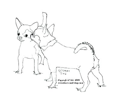 388x360 Shih Tzu Coloring Pages Here Are Several Coloring Pages Complete