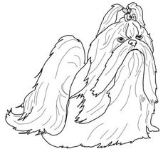 236x209 Dogs Shih Tzu Colouring Pages