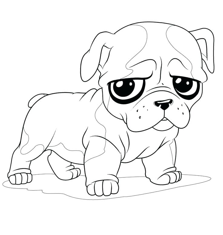 736x775 Shih Tzu Coloring Pages