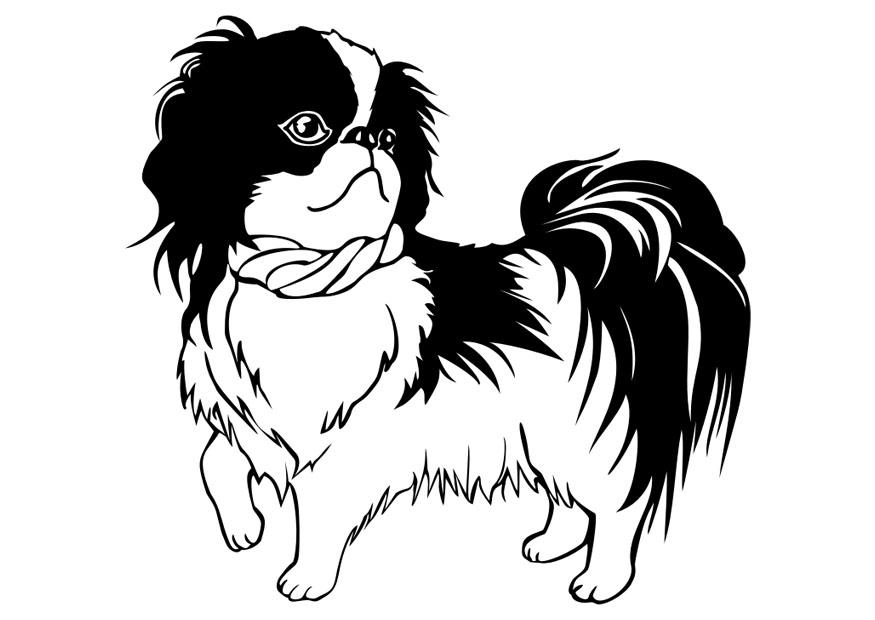 875x620 Coloring Page Dog