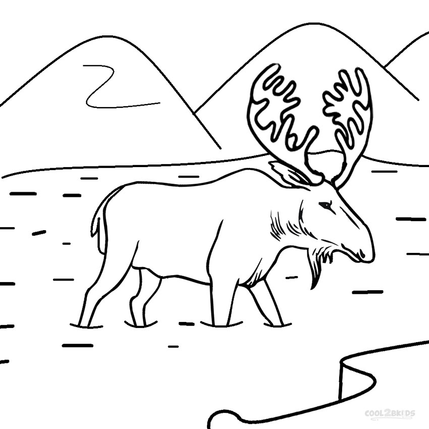 850x850 Printable Moose Coloring Pages For Kids