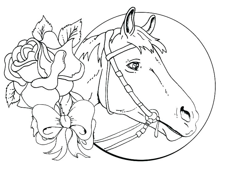736x551 Horse Racing Coloring Pages Horse Coloring Pages Images Race Horse