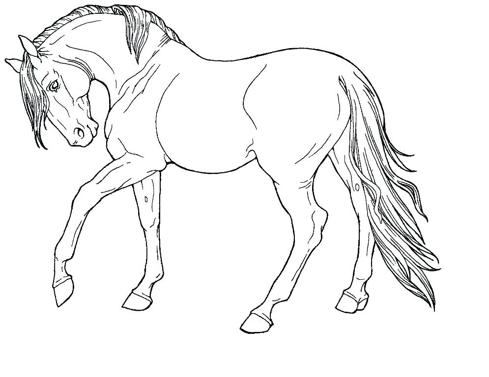 995x768 Rearing Horse Coloring Pages Free Horse Coloring Pages
