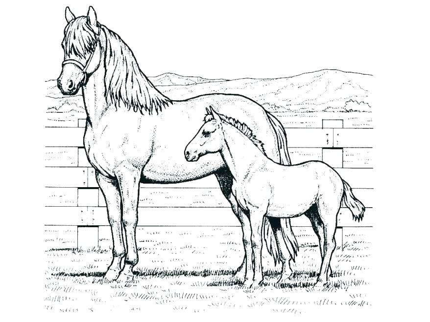 878x659 Wild Horse Coloring Page Free Download Free Download Wild Horse