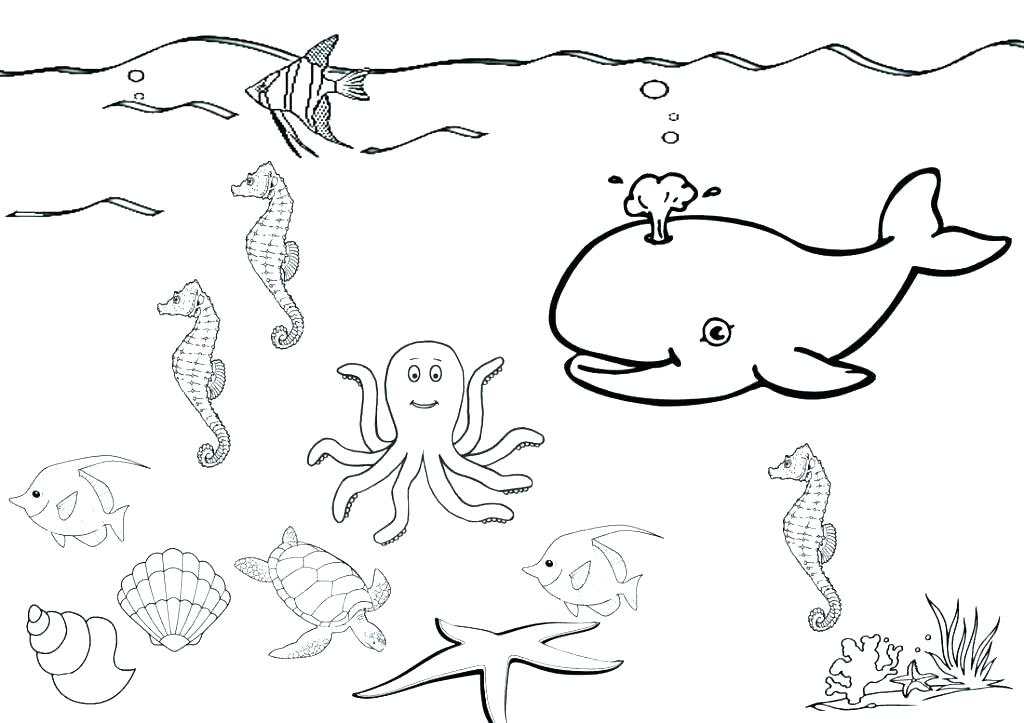 1024x723 Shooting Star Coloring Pages Coloring Page Of Stars Star Coloring