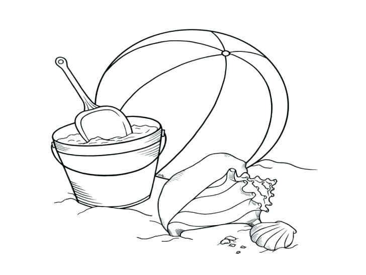 728x546 Many Types Of Seashells And Starfish Coloring Page Pages Flowers