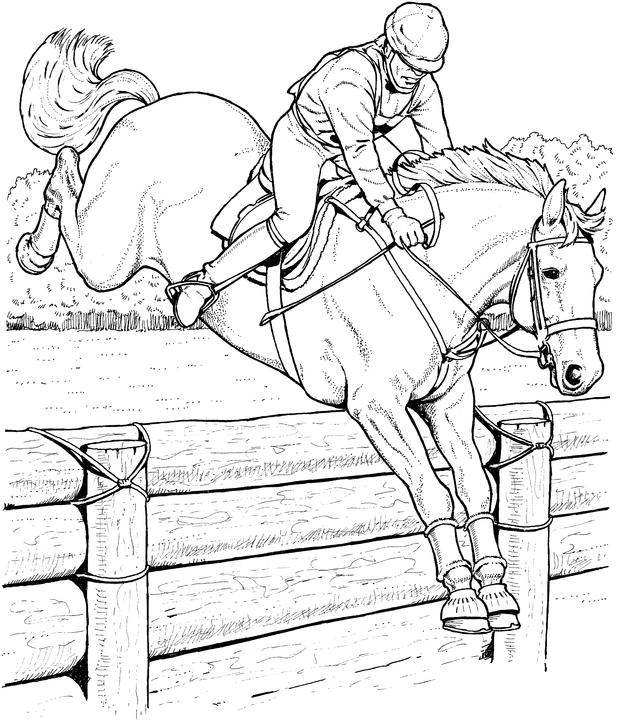 622x720 Free Horse Coloring Pages