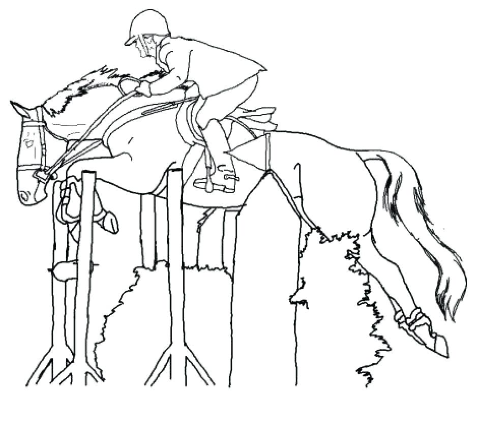 940x836 Horse Coloring Pages Printable Coloring Pages Horses Free Horse