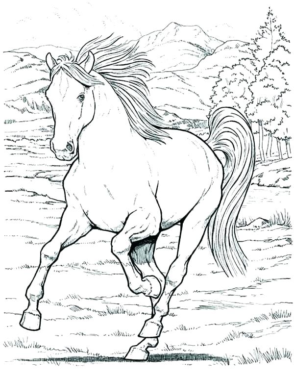 600x771 Horse Jumping Coloring Pages Horse Racing Coloring Pages Horses