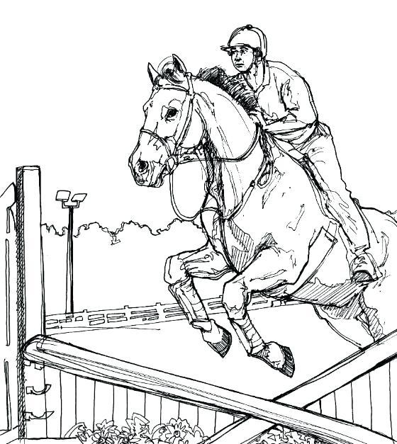 Show Horse Coloring Pages at GetDrawings | Free download