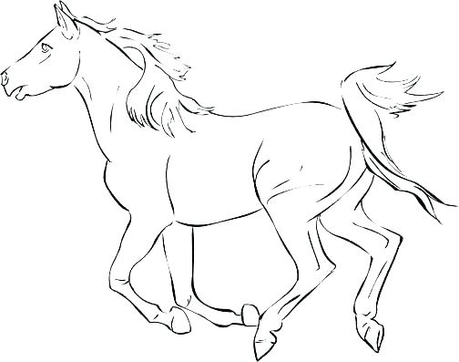 504x397 Horse Jumping Coloring Pages