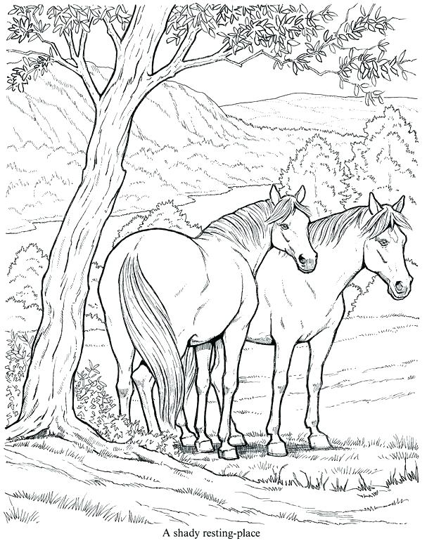607x770 Horse Jumping Coloring Pages