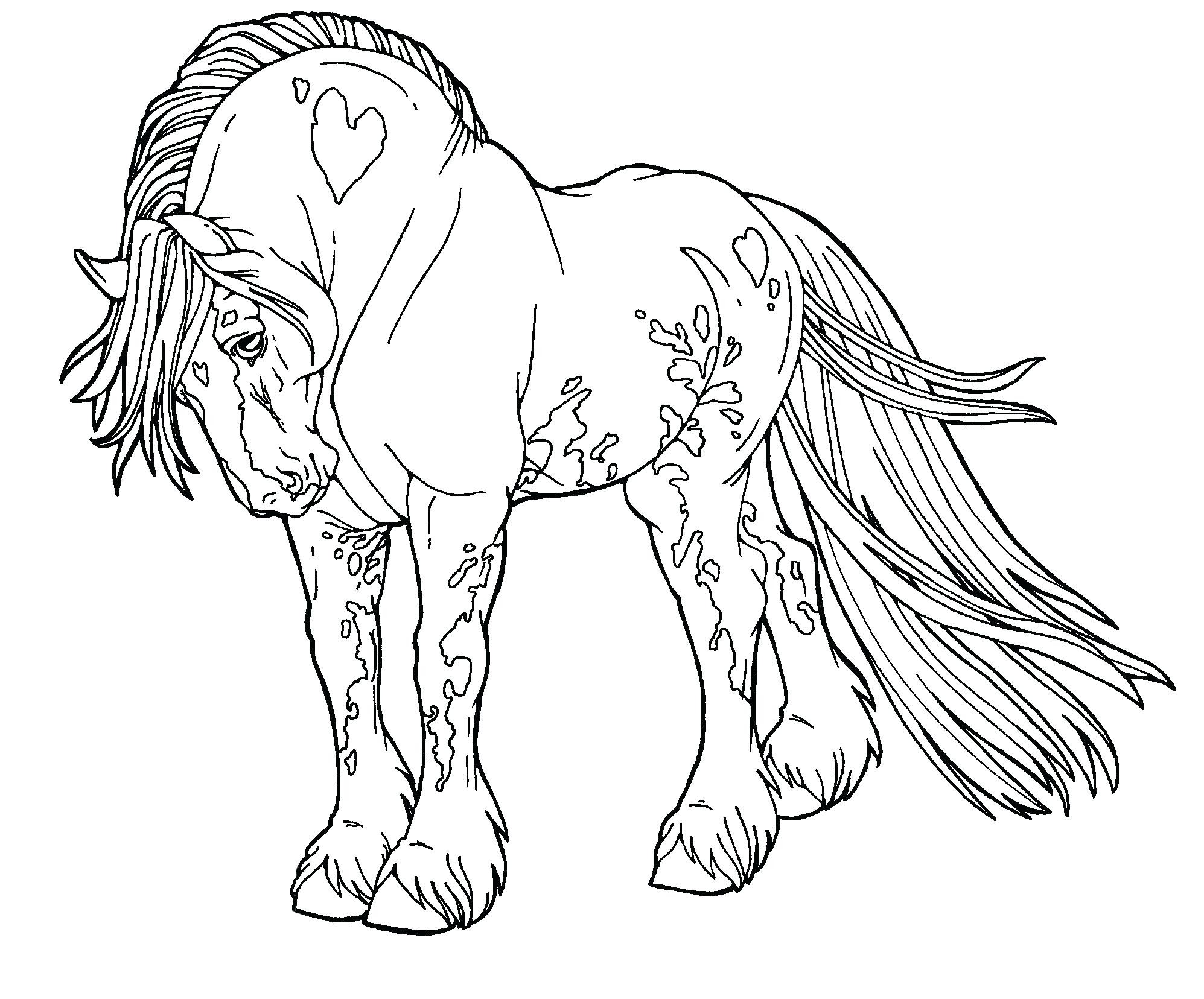 1995x1656 Beautiful Horse Printing Coloring Pages Fashio
