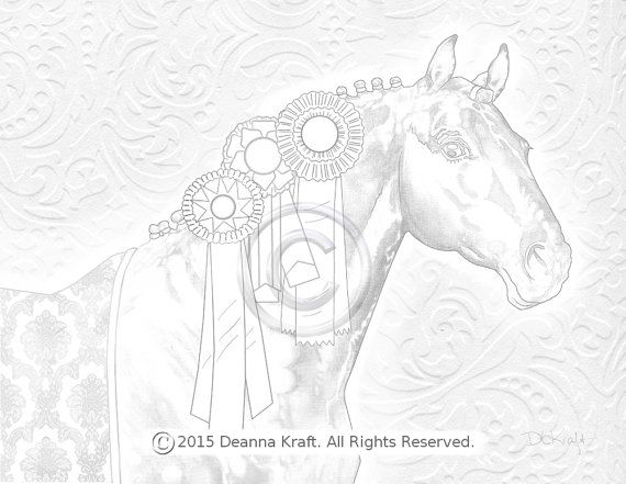 570x441 Bling, Horse, Coloring Page, Show Horse, Warmblood, Blue Ribbon