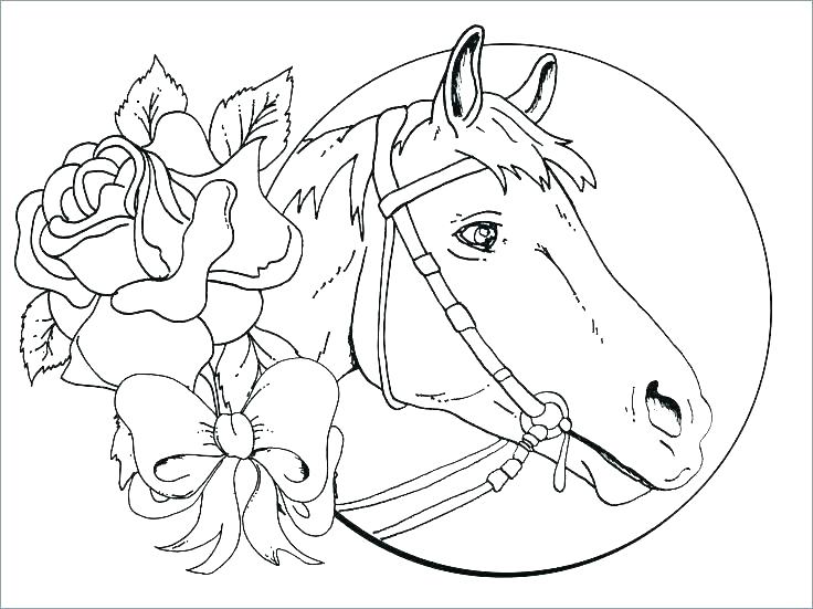 736x551 Horse Jumping Coloring Pages Show Jumping Horse Coloring Pages