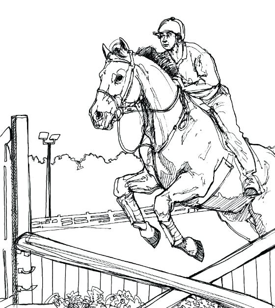 560x627 Horse Jumping Coloring Pages Show Jumping More Coloring Pages