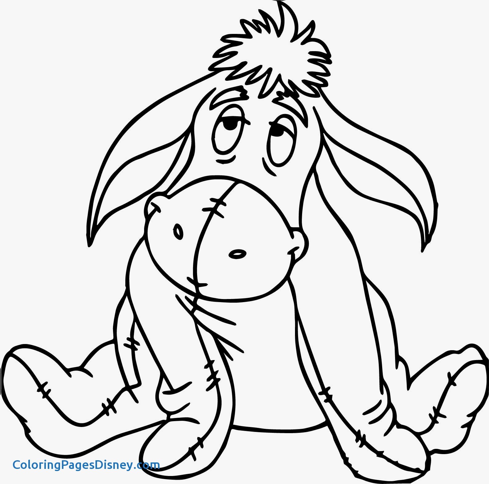 1588x1570 Donkeys Coloring Pages New Shrek And Donkey Coloring Pages