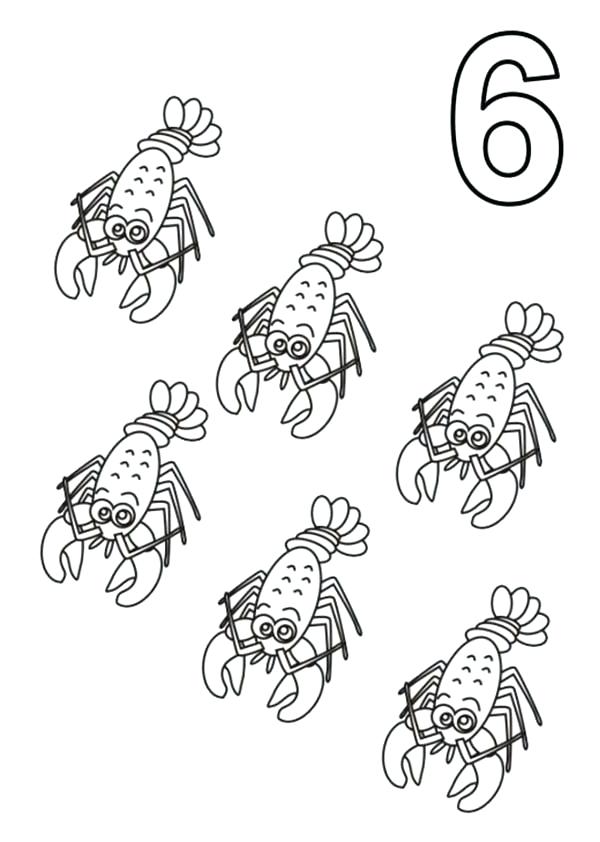 600x842 Shrimp Animal Coloring Pages Learn Number With Six Shrimps