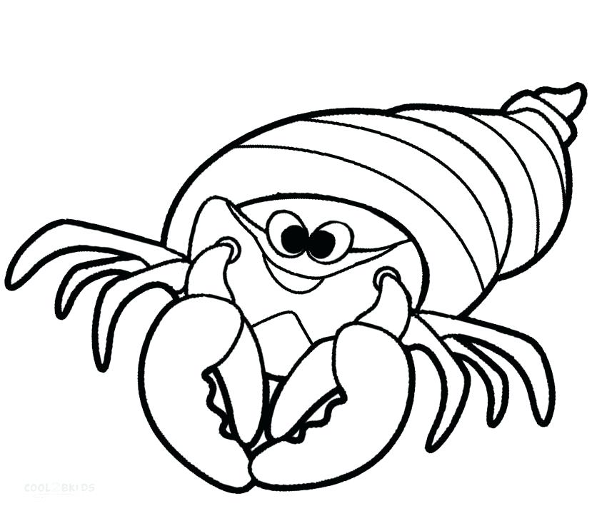 850x723 Shrimp Coloring Pages Hermit Crab Coloring Page Hermit Crab