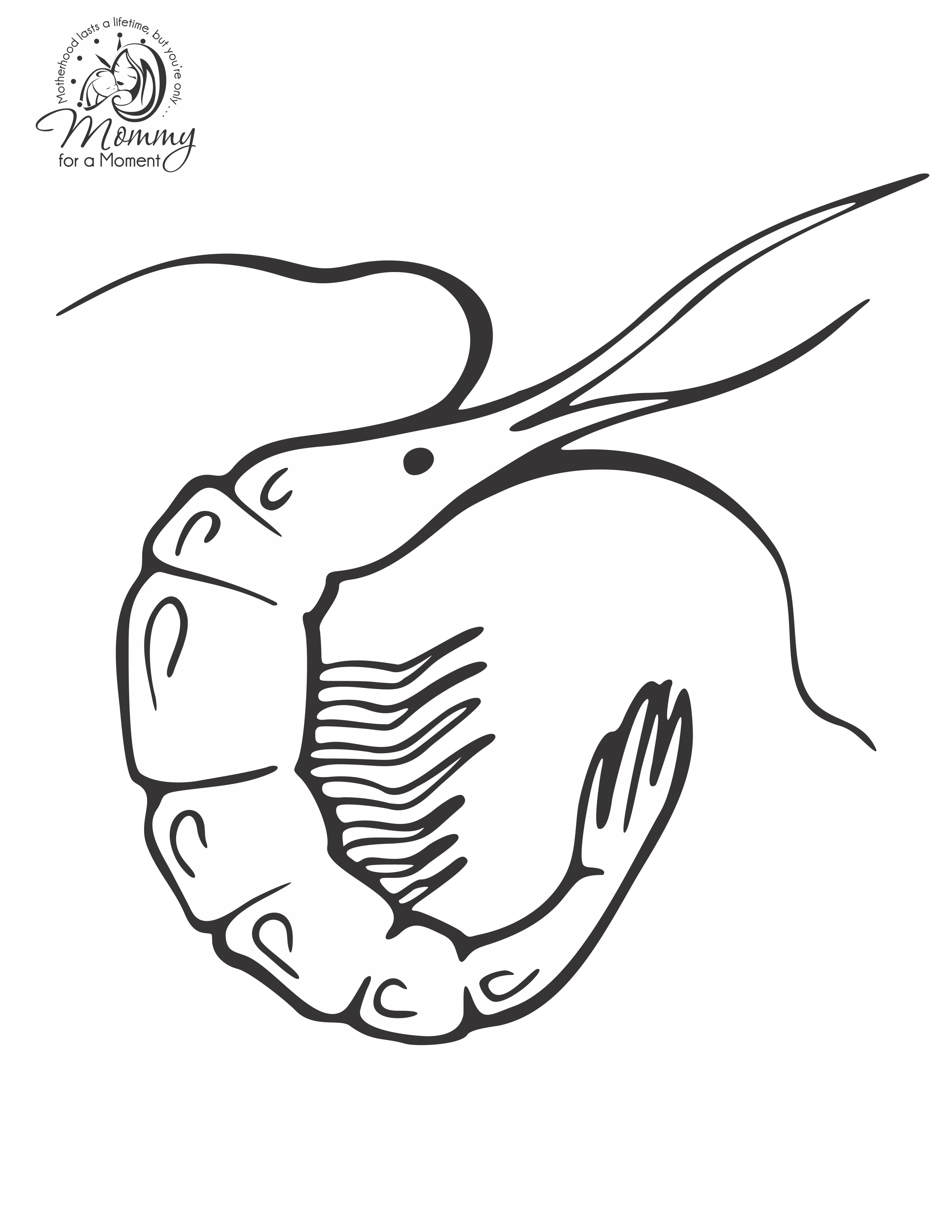 2551x3301 Shrimp Colouring Pages