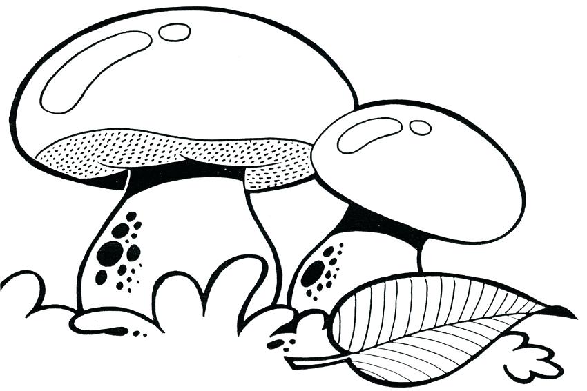 850x567 Trippy Mushroom Coloring Pages Mushroom Coloring Pages Full Size