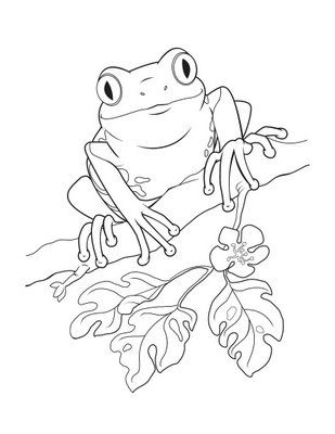 309x400 Puerto Rico Coloring Pages Dibujo De Un Coqui Colouring Pages