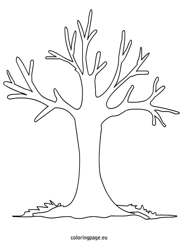 595x804 Shrub Coloring Page Coloring Pages Of Trees Tree Printable