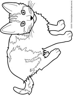 236x308 Printable Realistic Cat Coloring Pages