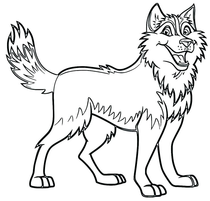 736x702 Siberian Husky Coloring Pages Husky Coloring Page Husky Coloring