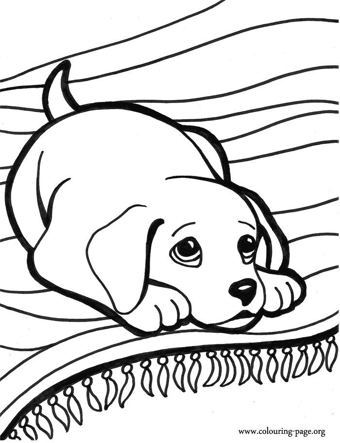 700x912 Siberian Husky Coloring Pages Inspirational Extraordinary Design