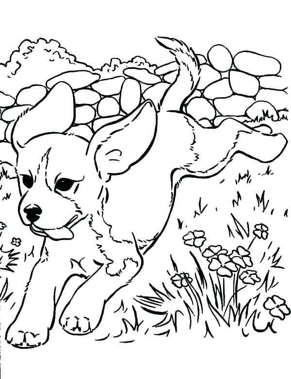 600x780 Siberian Husky Puppy Coloring Pages Printable Littlest Of Puppies