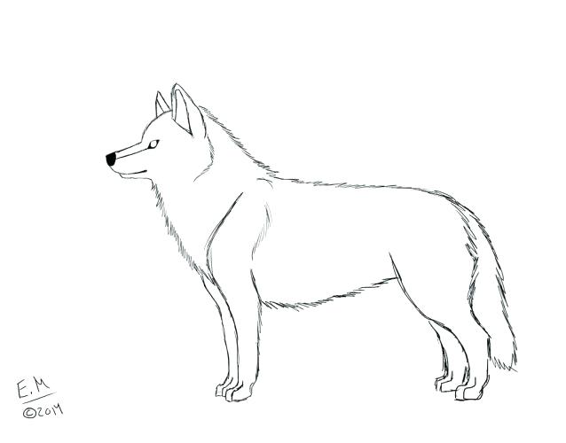 638x500 Husky Coloring Pages