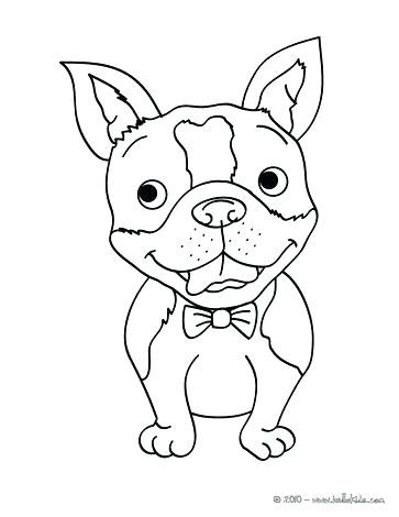 363x470 Huskies Coloring Pages Images Trend Color Pages Dogs Huskies