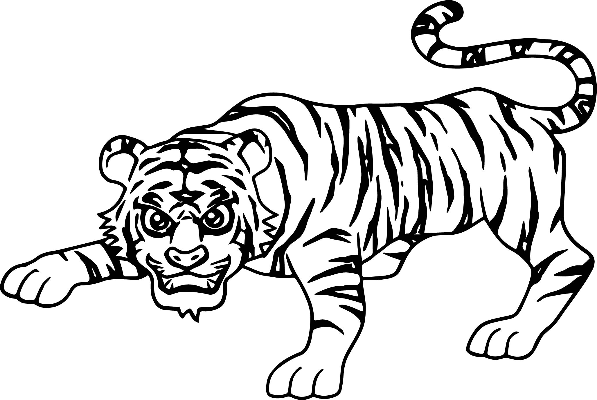 2056x1379 Smart Attack Tiger Coloring Page Wecoloringpage