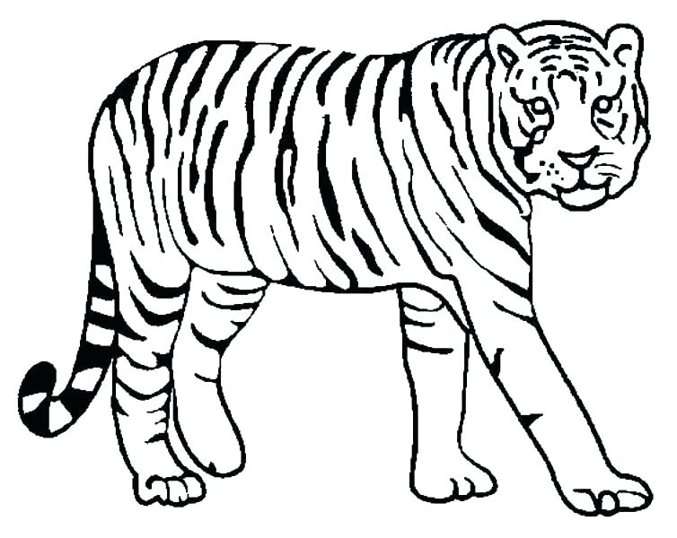 754x600 Tiger Color Page Tiger Coloring Pages Tiger Coloring Pages