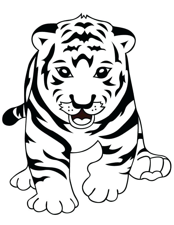 600x776 Siberian Tiger Coloring Page