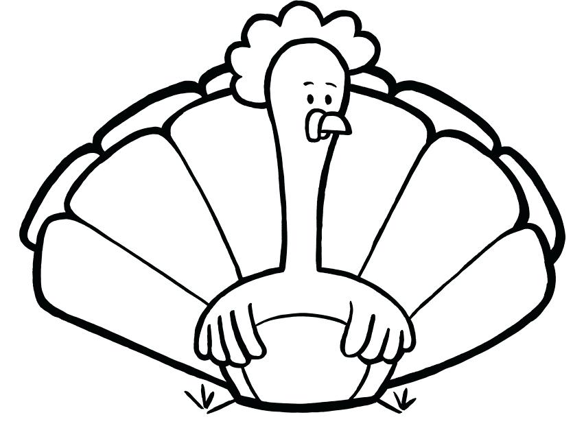 835x624 It S Here Pictures Of Turkeys To Color Raisingourkids