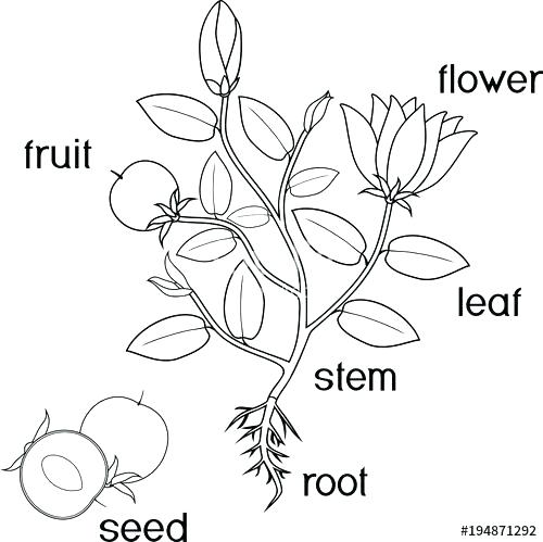 500x499 Cute Coloring Page