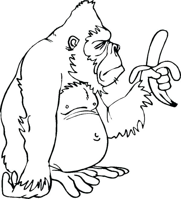 600x659 Gorilla Coloring Pages Gorilla Coloring Pages Free Printable