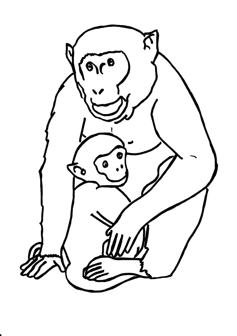 778x1100 Gorillas Coloring Pages Gorilla Page Adult