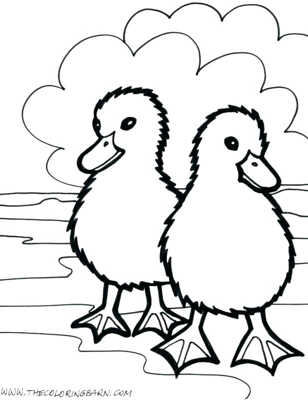 618x803 Simple Animal Coloring Pages Simple Animal Coloring Pages Farm