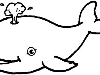 320x240 Simple Animal Coloring Pages Coloring Pages Pictures And Coloring