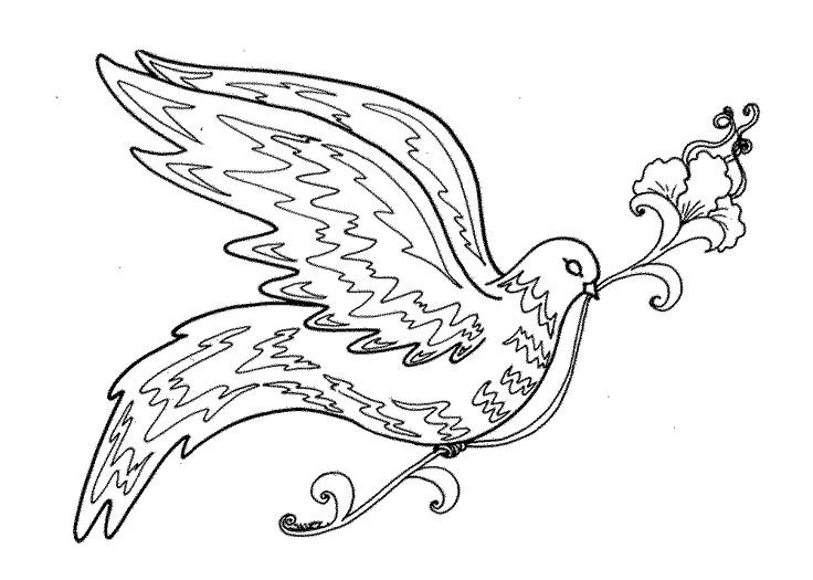 736x525 Simple Bird Coloring Page Fresh Best Coloring Pages Birds