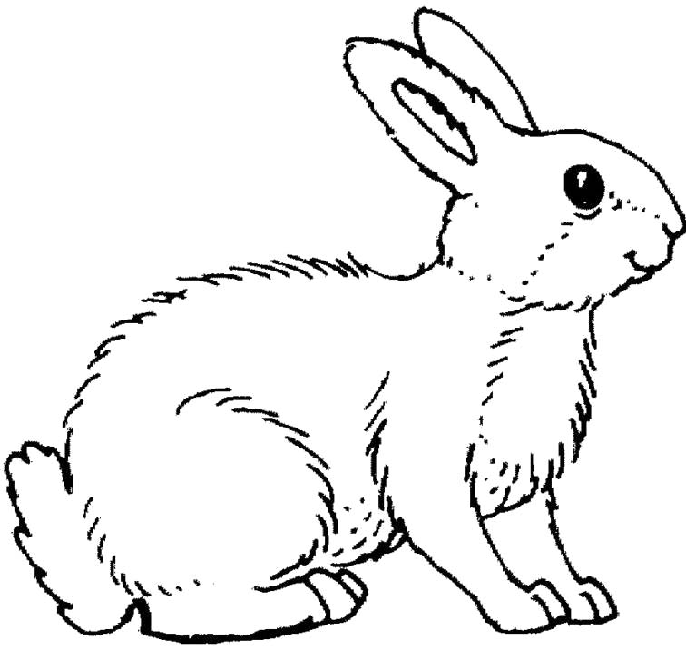 756x716 Promising Coloring Pictures Of Bunnies Baby Rabbit Pages