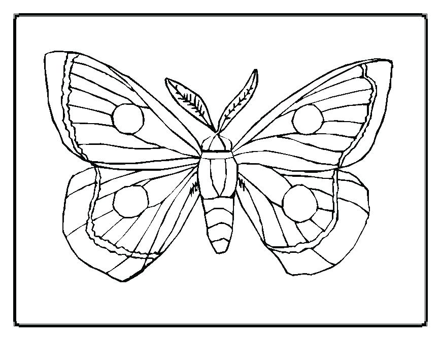 869x671 E Swallowtail Butterfly Coloring Page Free Pages Simple