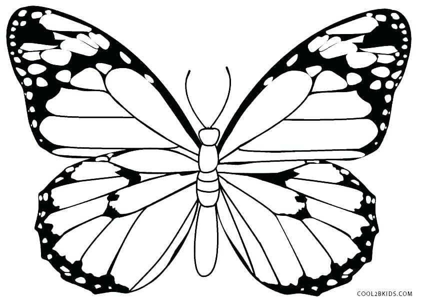 844x603 Free Butterfly Coloring Pages Coloring Page Of Butterfly Simple