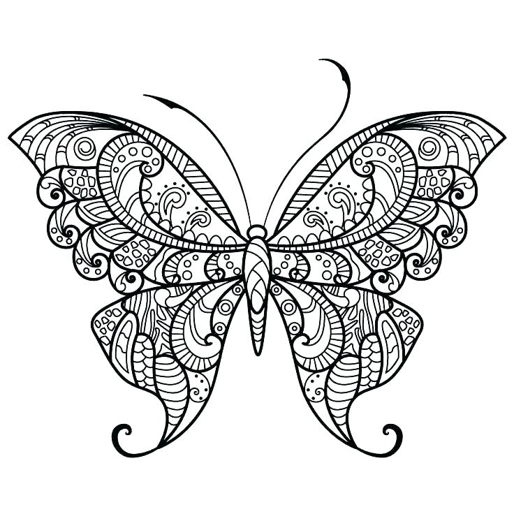 736x736 Printable Butterfly Coloring Page Butterfly Coloring Page