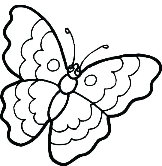 540x555 Simple Butterfly Coloring Pages