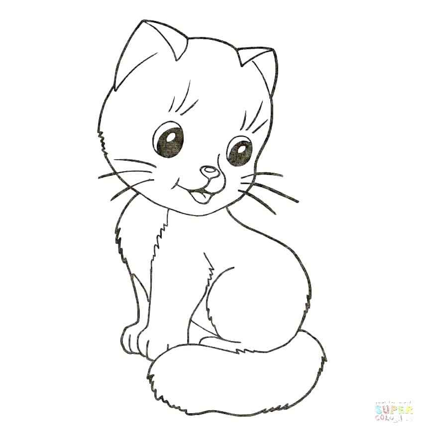 852x870 Cat Coloring Sheet