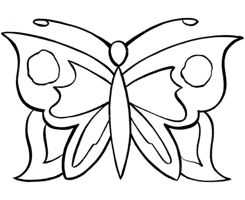 800x653 Simple Coloring Sheets Ant Llc Simple Coloring Pages In New